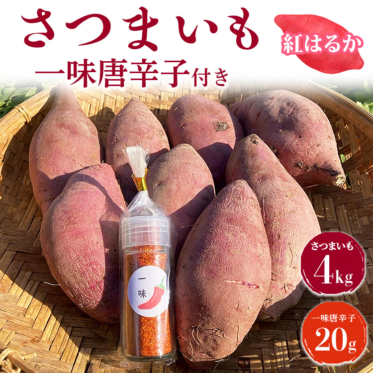 さつまいも4kg　一味唐辛子付き（20g）｜ サツマイモ 紅はるか かんしょ 美浜町産 知多半島産 愛知県産 国産 期間限定　※北海道・沖縄・離島への配送不可