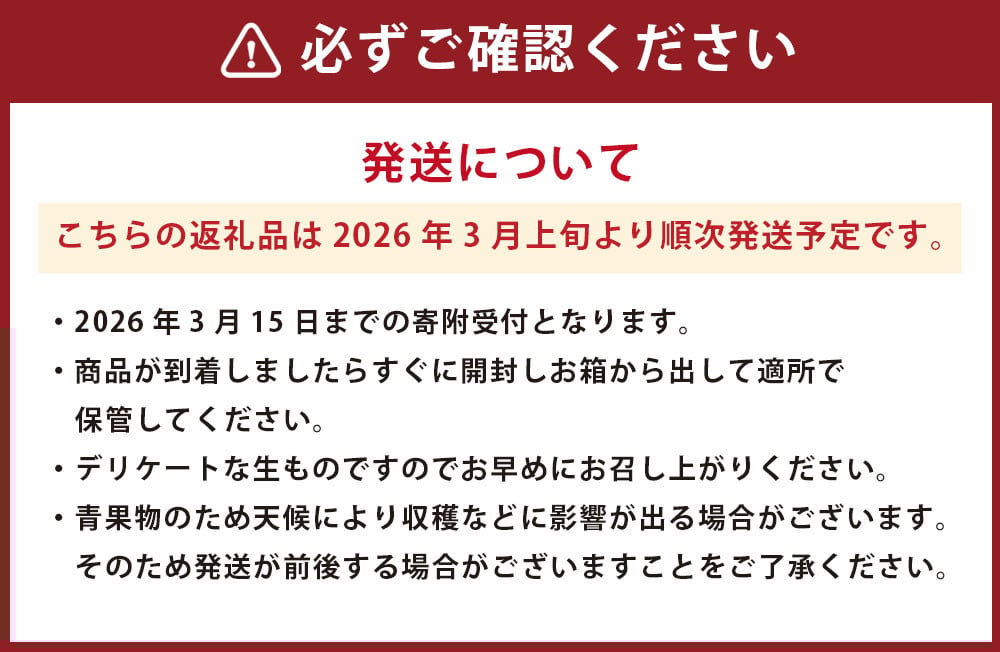  熊本県産 苺 旬の品種 （2種） 約1.5キロ 前後