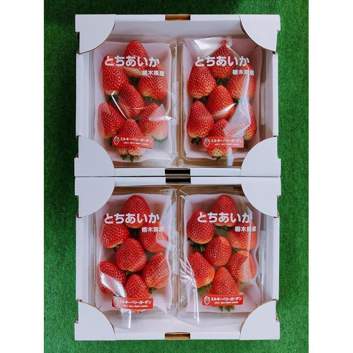 【先行予約・朝採り・農園直送（1月~2月収穫・発送）】栃木県産とちあいか（大粒290ｇ×2パック）×2箱