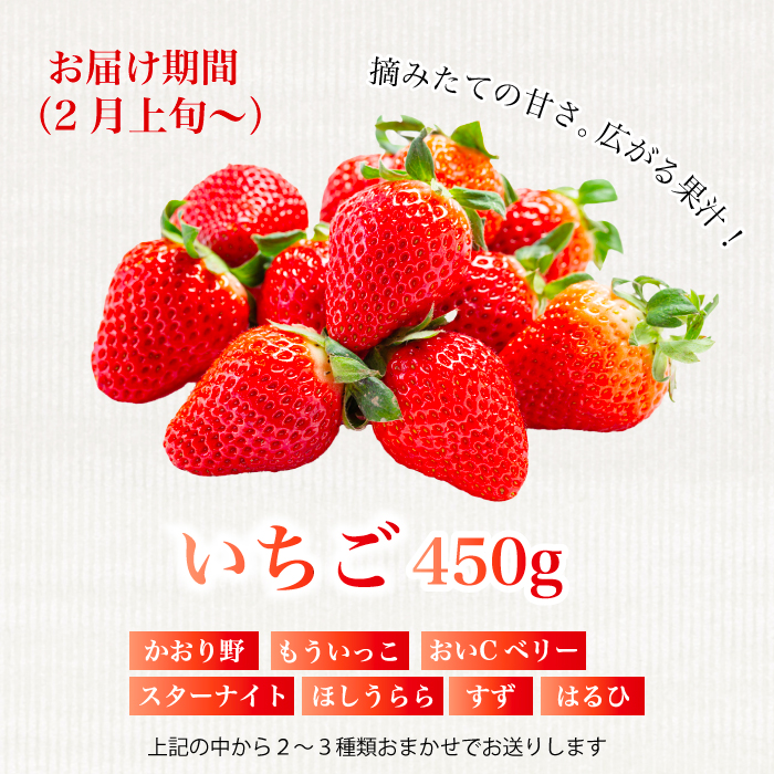 【フルーツ定期便全5回】豪華フルーツ いちご450g,さくらんぼ500g,梨2kg,ぶどう2kg,りんご2kg 詰め合わせ 採れたて 新鮮 産地直送 広島県 三原市 059021