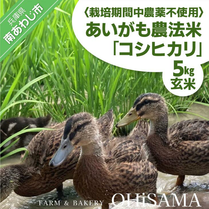 【ふるさと納税】令和7年産　コシヒカリ　5Kg　玄米栽培期間中農薬不使用　あいがも農法米