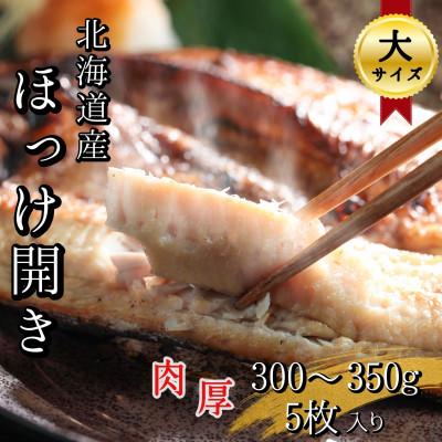 ふるさと納税 せたな町 【北海道せたな町産】根ほっけ開き【大】 5枚(合計1.5〜1.75kg) 真空パック入り干物