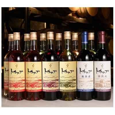 ふるさと納税 池田町 十勝ワイントカップ12本セット【C002-2-2】
