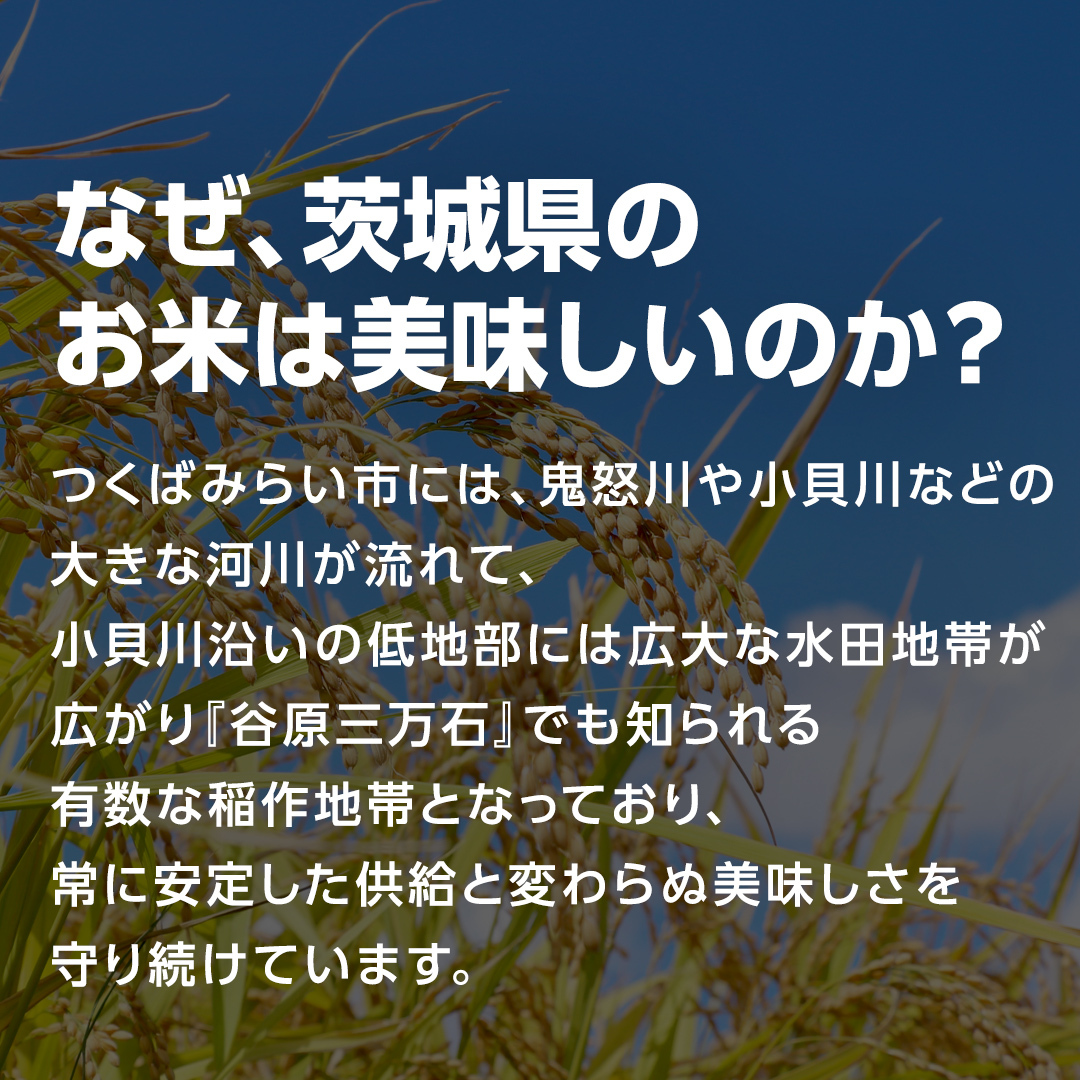 【 お試しサイズ 】令和７年産 茨城県産 コシヒカリ 600g (600g×1袋) お試し ♪ 4合 五つ星お米マイスター監修 ポッキリ ポスト投函 米 精米 茨城 お米 おこめ ごはん 白米 米 茨