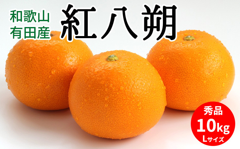 
                  【2027年先行予約】紅八朔 秀品 約10kg Lサイズ 和歌山県有田産【はっさく ハッサク 八朔 和歌山】_U6226n
                
