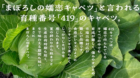 【 2025年 7月 発送開始 】 《3か月定期便》旬の野菜3種 419キャベツ 恵味トウモロコシ じゃがいも きゃべつ 嬬恋村産キャベツ 羽生田売店 幻のキャベツ419 産地直送 期間限定 先行予約