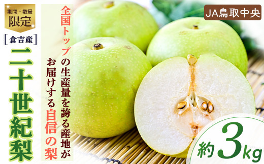 二十世紀梨 【倉吉産】3kg（JA鳥取中央） 梨 ナシ なし ブランド梨 鳥取 3kg 果物 フルーツ 和梨 先行予約 数量限定 詰め合わせ 二十世紀梨 20世紀梨