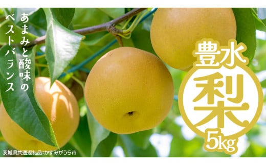 豊水 約5kg（茨城県共通返礼品：かすみがうら市） 【2025年9月上旬発送開始】 梨 数量限定 なし ナシ フルーツ 果物 旬 産地直送 [FF004sa]