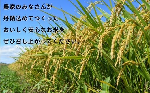 多古町産コシヒカリ5㎏ 鎌ケ谷市 清田