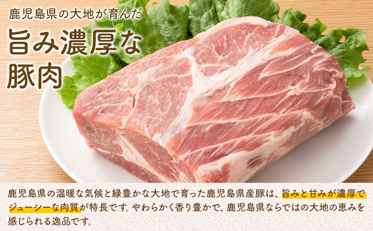＜訳あり＞鹿児島県産 豚 切り落とし【6ヶ月定期便】500g×5パック 計15kg 株式会社 コワダヤ《お申し込み月の翌月から出荷開始》鹿児島県 さつま町 豚 ブタ肉 切り落とし---stm-kwd-