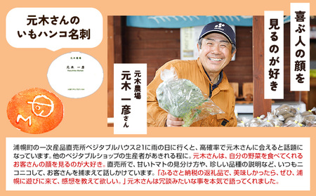 じゃがいも6種の彩りセット 1kg × 6袋 じゃがいも メークイン キタアカリ 男爵 シャドークイーン ノーザンルビー レッドムーン 