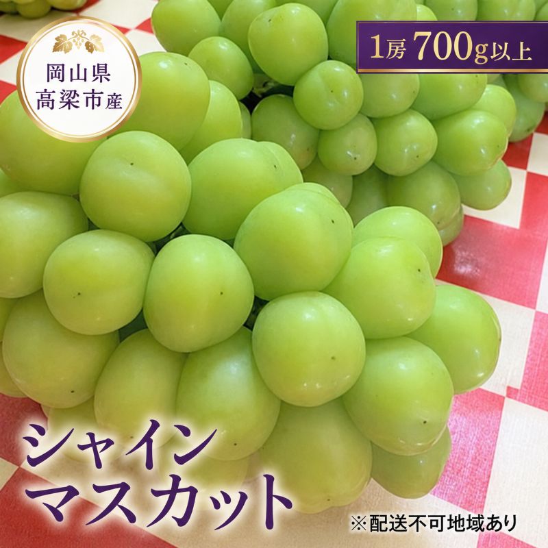 シャインマスカット 1房 700g以上 葡萄 フルーツ 岡山 高梁市産 こあに葡萄園 2026年 先行予約 果物類 ぶどう ブドウ 