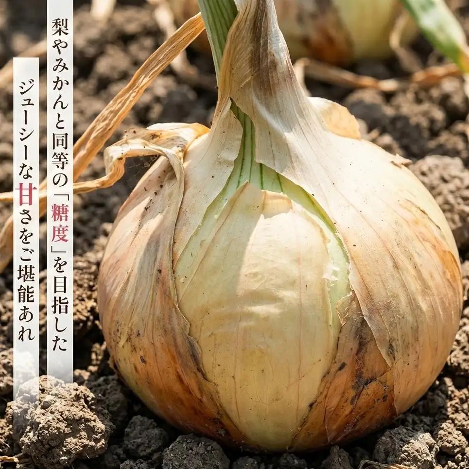 玉ねぎ 淡路島産 3kg 善太 甘い 玉ねぎ