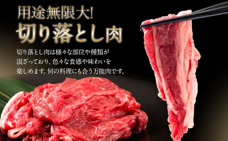 牛肉 肉 おつかれママ牛 ホルスタイン 牛肉セット 切り落とし 500g+そずり肉500g+すじ肉 500g 1.5kg 株式会社こはら《60日以内に出荷予定(土日祝除く)》岡山県産 岡山県 笠岡市 