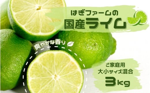 ご家庭用 はぎファームの 国産ライム 3kg　大小サイズ混合(30～35個前後) 【2025年8月下旬頃から順次発送予定】 / ライム 国産 らいむ【[hgf006】