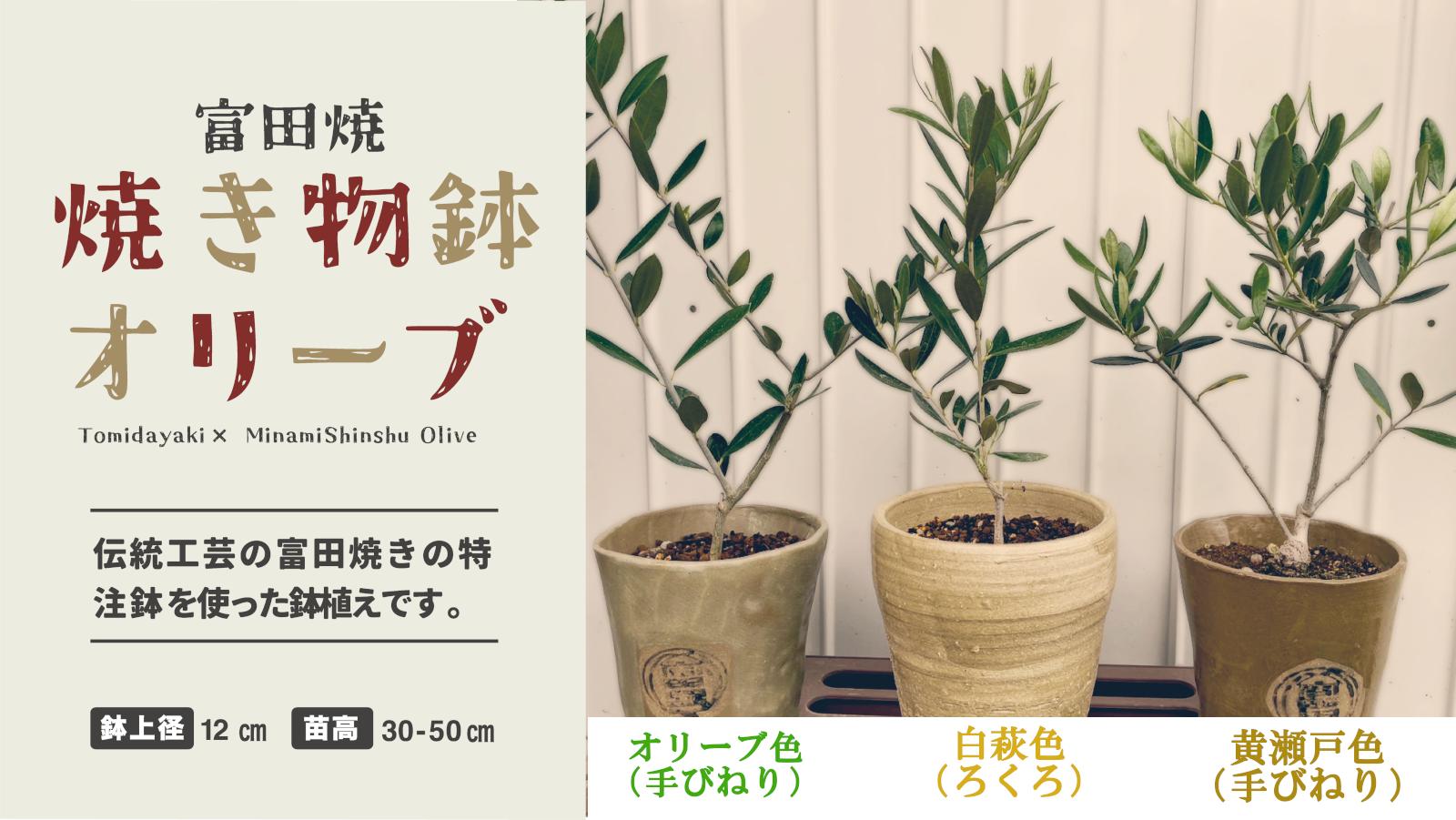 左からオリーブ色（手びねり）、白萩色（ろくろ）、黄瀬戸色（手びねり）となります。