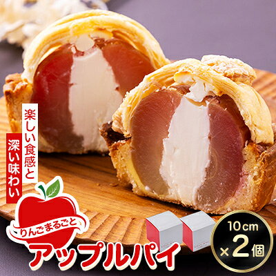 【ふるさと納税】りんごまるごとアップルパイ 10cm×2個セット【配送不可地域：離島・沖縄県】【1657754】