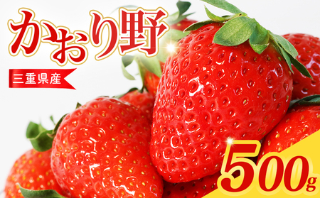 【2026年2月から順次発送】 苺 かおり野 500g 250g×2パック 苺