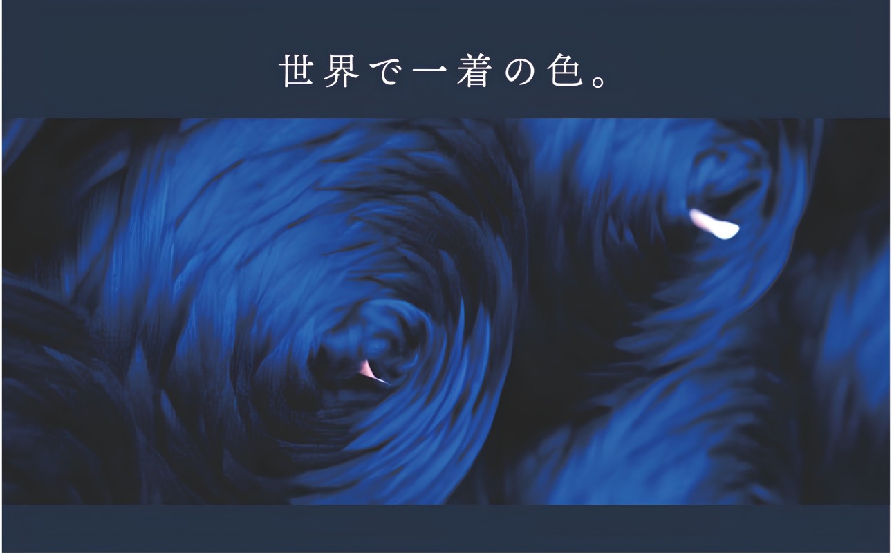 時間と手間はかかりますが、色鮮やかで濃く、高級感が出る「トップ染め」とう染色技法で染色を行います。