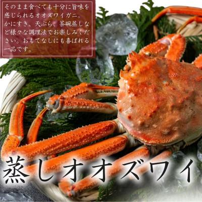 ふるさと納税 様似町 【訳あり】「蒸し」オオズワイガニ　5杯  約1kg~1.3kg |  | 01