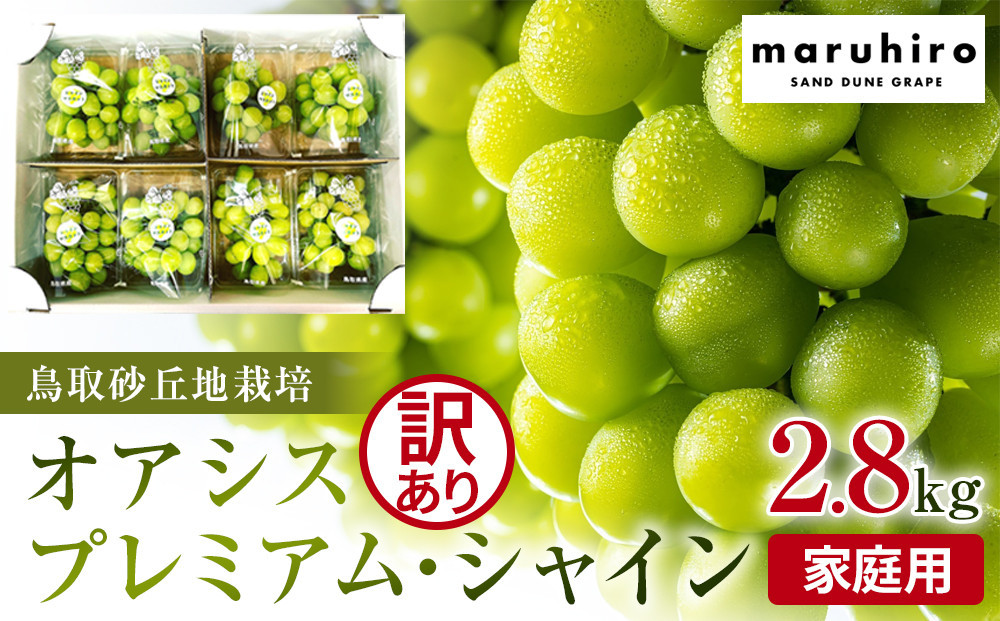 
            914．シャインマスカット 訳あり 家庭用 鳥取砂丘地産 2.8kg（350g×8パック） ※離島への配送不可 ※2025年8月下旬頃～10月下旬頃に順次発送
          