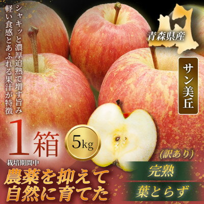 【ふるさと納税】【青森直送 季節の味覚をお届け!】サン美丘 5kg×1箱(訳あり)青森産 産地直送 限定生産【配送不可地域：離島】【1700933】