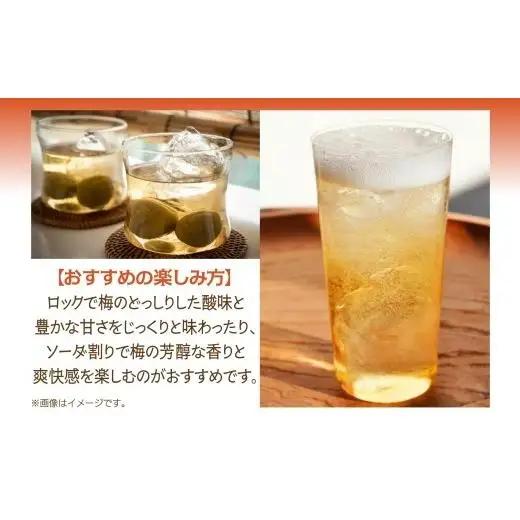 合同酒精 本格梅酒 鴬宿梅 おうしゅくばい 至極二段 720ml 梅酒 果実酒 フルーツ酒 ロック ソーダ割り 水割り 鶯宿 奈良県産 国産梅 フレッシュ 熟成 甘い 爽快感 お酒 酒 アルコール 飲