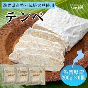 ルストテンペ(滋賀県産特別栽培大豆使用)6個セット テンペ テンペ テンペ