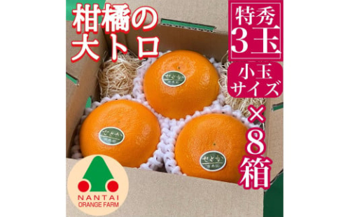 お試し規格 柑橘の大トロ ハウス せとか 厳選 小玉 3玉入 手さげ箱 × 8箱 南泰園 和歌山 有田