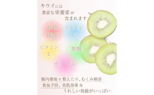 厳選 キウイ0.5kg+250g（傷み補償分）【扁平果】 / 和歌山 フルーツ 果物 くだもの ※2026年11月中旬より2027年4月下旬頃順次発送予定 ※北海道・沖縄・離島配送不可 【ikd505