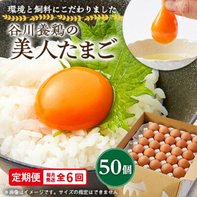 【ふるさと納税】【毎月定期便】計300個【生みたて濃厚】谷川養鶏の美人たまご50ヶ入り　※サイズ指定できません全6回【配送不可地域：離島】【4092245】