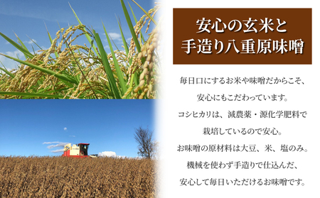 【太陽と大地】令和7年産「八重原産特別栽培米（減農薬・減化学肥料栽培）コシヒカリ（玄米）２kg」と「信州味噌「八重原味噌」５００g」セット