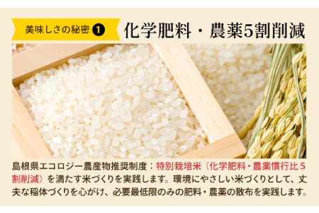 島根県仁多産コシヒカリ特別栽培米20㎏【仁多米 こしひかり コシヒカリ 特別栽培米 2kg×10袋 合計20kg 小分け 便利 白米 精米 ご飯 ギフト 贈り物 贈答 プレゼント】