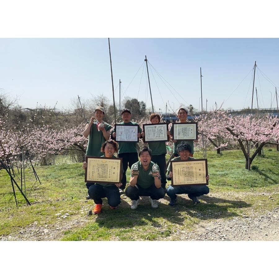 ＜アンスリーファーム＞佐藤錦　秀　Lサイズ　バラ　300ｇ