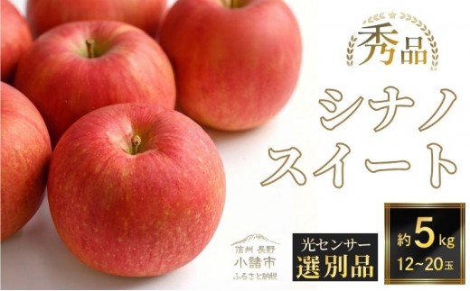 
                  【2026年10月中旬～発送予定】 先行予約 りんご シナノスイート 秀品 約5kg 12～20玉入 長野県産 果物類 林檎  リンゴ フルーツ  [№5915-0733]
                