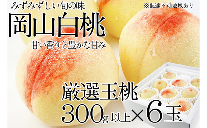 桃 2026年 先行予約 岡山の白桃 300g以上×6玉 白桃 旬 みずみずしい 晴れの国 おかやま 岡山県産 フルーツ王国 果物王国 夏の果物 果汁 とろける 上品な香り 