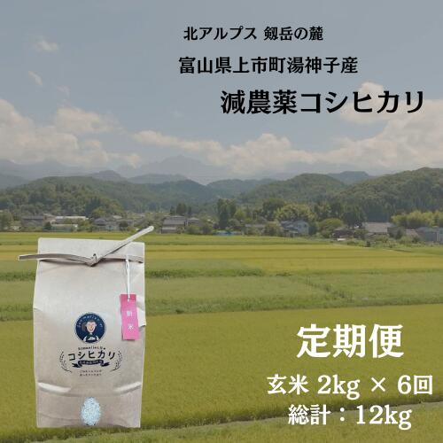 【ふるさと納税】【毎月1回お届け】【定期便】【令和7年産】減農薬 上市町湯神子産コシヒカリ（玄米）2kg x 6回 計12kg　 [ソムリエH 富山県 上市町 32280251-r6-01】 米 6ヶ月 6回定期便 定期購入 お米 コメ ご飯 ごはん 玄米ご飯 玄米ごはん こしひかり 富山県産