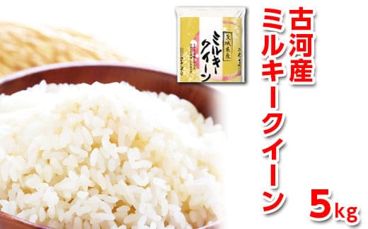 
										
										【新米】令和6年産 古河産ミルキークイーン（5kg） | 米 こめ コメ 5キロ ミルキークイーン みるきーくいーん 古河市産 茨城県産 贈答 贈り物 プレゼント 茨城県 古河市 直送 産地直送 送料無料 _DP08
									