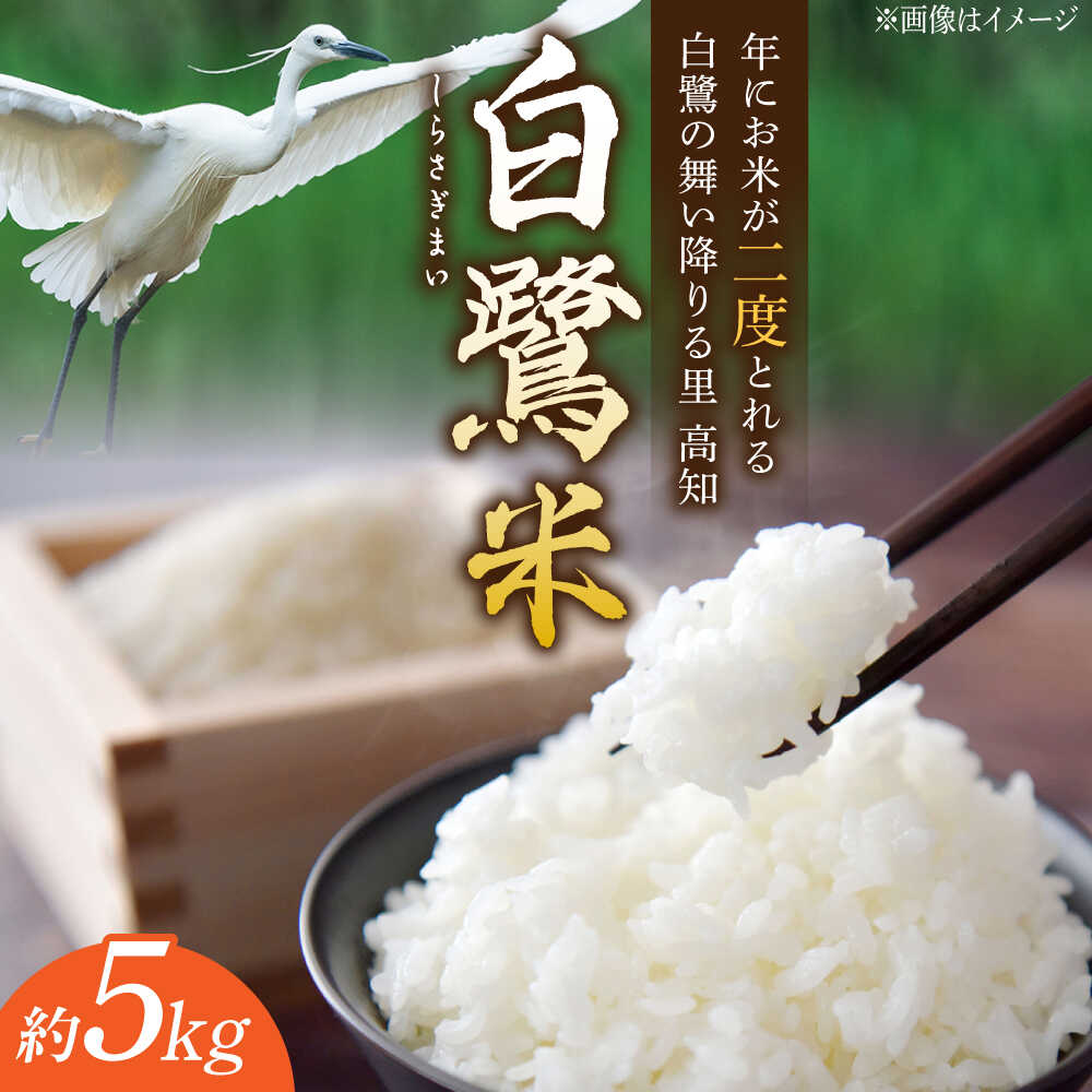 【ふるさと納税】農薬節減！ R7年度産 特別栽培米 白鷺米 コシヒカリ 約5kg ＜2025年9月中旬〜発送＞ /農薬使用回数の50％以下 高知県産 米 お米 精米 国産米 お取り寄せ お取り寄せグルメ 白米【津ノ宮農園】[ATBV019]
