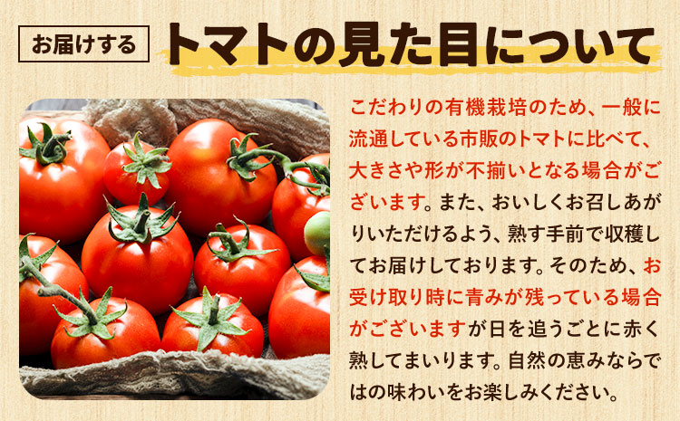 有機JASとっぺんトマト 約4kg 《7月上旬-8月下旬頃出荷》旬 お取り寄せ 詰め合わせ 贈答 ギフト お中元 お歳暮 熊本 阿蘇 産山村 送料無料 トマト 無農薬 有機---ubuyama_swm