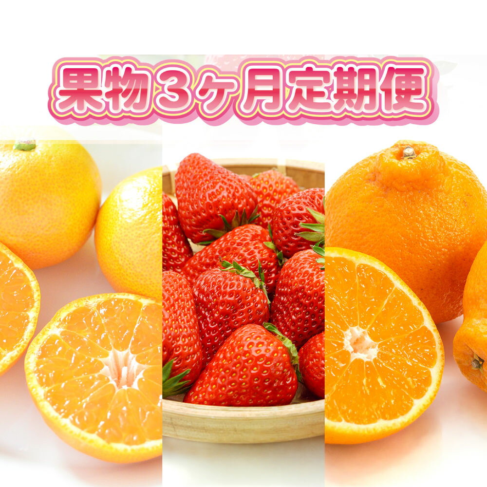 【ふるさと納税】【3回定期便】旬の果物3か月定期便（温州みかん、いちご、不知火） みかん ミカン 蜜柑 柑橘 かんきつ いちご イチゴ 苺 ストロベリー フルーツ くだもの 果物 果実 デザート 佐賀県産 国産 佐賀県 太良町 送料無料 【2027年1月上旬～3月下旬のお届け】