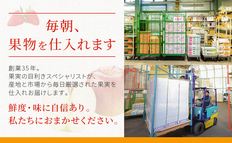 静岡県袋井市産 クラウンメロン 山等級 1.3kg 2個 静岡県 袋井市 メロン 山 フルーツ 果物 人気 1月～12月