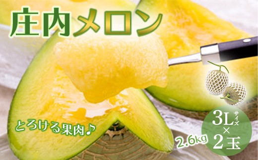 【2027年先行予約】 庄内メロン 2玉3Lサイズ 2.6kg 青肉メロン メロン 青肉 デザート フルーツ 果物 くだもの 果実 食品 山形県 FSY-0500