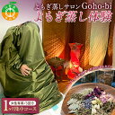 【ふるさと納税】 よもぎ蒸しサロンGoho-bi 1か月集中コース(3回分) ／ 女性専用 美容 健康 自然療法 ハーブ デトックス すっきり リラックス 温活 代謝 活性 中山町 F4A-0305