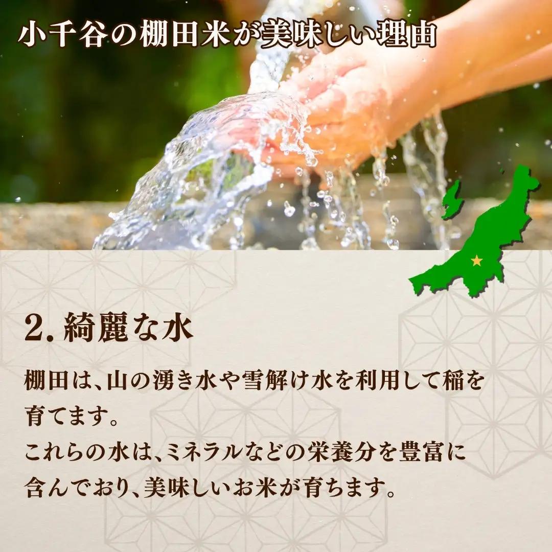 魚沼産コシヒカリ 10kg 棚田米コンテスト入賞者が栽培 | 新潟県 魚沼 米