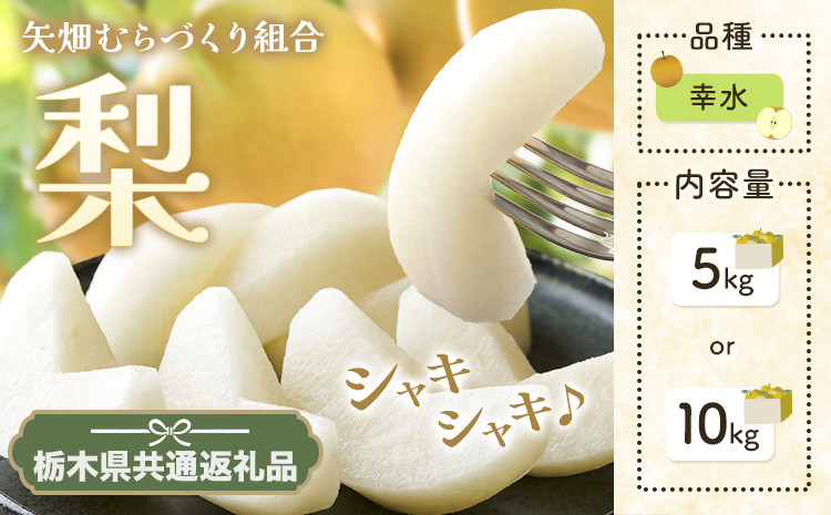 
            N01 梨 なし 幸水 5kg or 10kgフルーツ 先行予約 矢畑むらづくり組合《7月下旬-8月下旬頃出荷》 栃木県【栃木県共通返礼品　栃木県産】【配送不可地域あり】(離島)
          