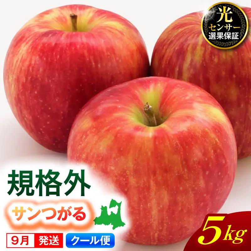 【2026年9月発送】【規格外】 りんご サンつがる 5kg 光センサー選果保証 青森県産 りんご