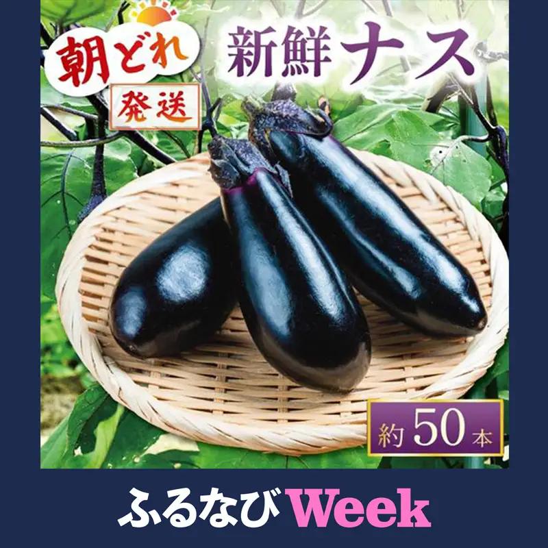 【ふるなびWEEK対象】 【先行受付】 朝どれナス 約50本 | ナス TR-0007