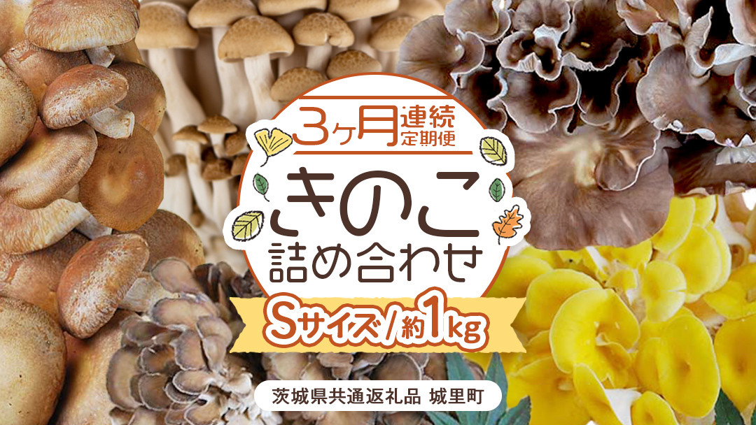 
            【 ３ヶ月 連続定期便 】 きのこ の 詰め合わせ Sサイズ 約1kg （茨城県共通返礼品 城里町） 定期便 キノコ 舞茸 あわび茸 たもぎ茸 しいたけ ぶなしめじ セット 鍋 炒め物 [CX005sa]	
          