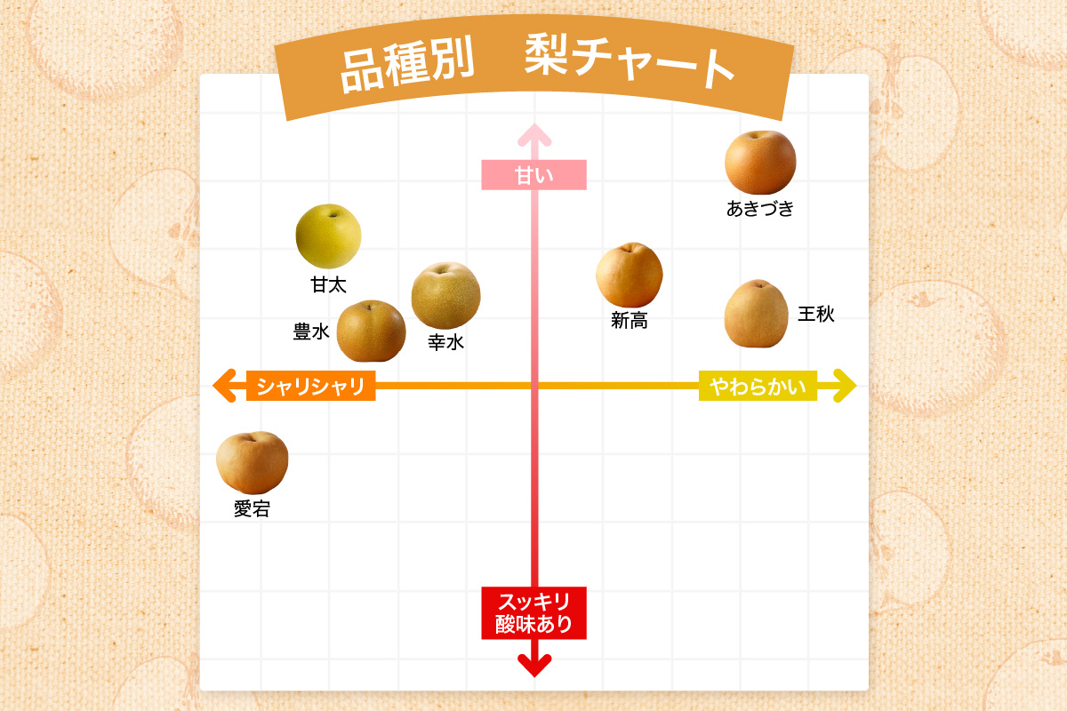 【2026年産先行予約】伊万里梨 「甘太」 約2.5kg ご自宅用におすすめ 178-B1072_イメージ4